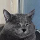 Connor Barry - @ConnorB07243031 - Twitter