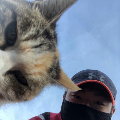 nittaichi1996's profile picture. スマブラ/カレー/漫画アニメ/Benelli/TRK251/トマトは苦手やけどケチャップは好きです