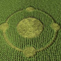 Dan Mitchell (@_greatdelusion) 's Twitter Profile