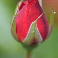 Peter Beard (@_peter_beard) 's Twitter Profile Photo Peter Beard (@_peter_beard) 's Twitter Profile Photo