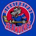 Mississippi Sea Wolves (@SeaWolvesHockey) Twitter profile photo