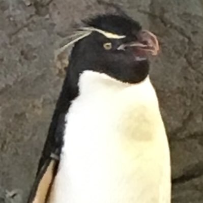 Jw15395027Jw's profile picture. jw2世です。水没済み。鞭世代。現役ですが怒られない程度にゆるくやりつつ、自然消滅狙ってます。大したことは呟かないですが、他のjwの皆さんと仲良くなりたくてTwitter始めます。 世の仕事（笑）は精神科医療関係やってます。