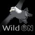 @wildonnatura.bsky.social (@wildonnatura) Twitter profile photo @wildonnatura.bsky.social (@wildonnatura) Twitter profile photo