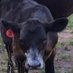 MoFarmer63 (@mofarmer63) Twitter profile photo MoFarmer63 (@mofarmer63) Twitter profile photo