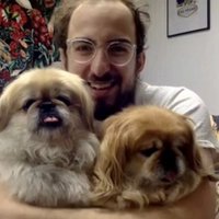 jj (pronouns in bio) (@chessfeels) 's Twitter Profile