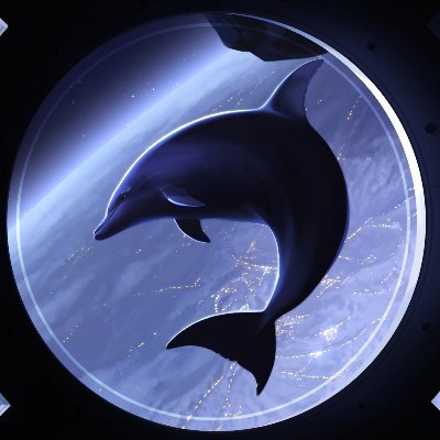 spaced0lphin Profile Picture