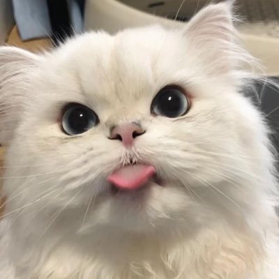 februnajae's profile picture. อยากเป็นคนเก่งให้ได้เท่าแม่มึงอะค่ะ