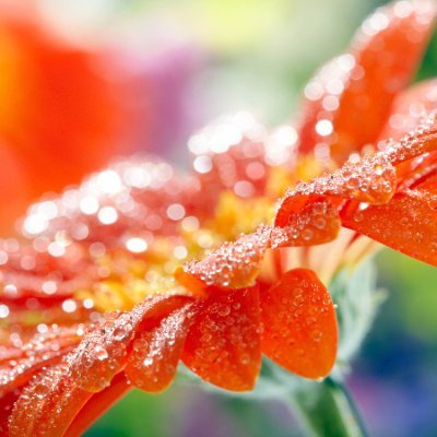 KKUMAR4YOU's profile picture. Love NFT's/Games