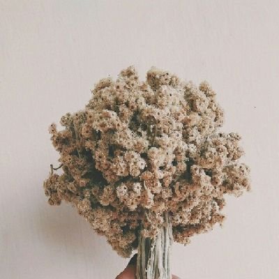 bungsumatcha's profile picture. Follow aja siapa tau nyaman