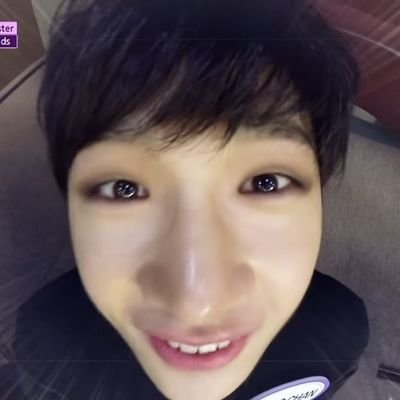 woof woof bark arf arf awoo growl woof woof arf arf grrr growl woof woof bark arf arf woof bark bark