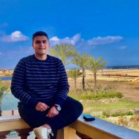 Abdelaleem Ali (@abdelaleemali9) 's Twitter Profile