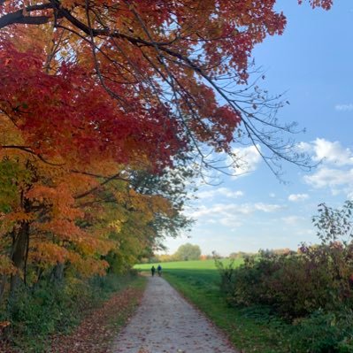 DuddingJessie's profile picture. 