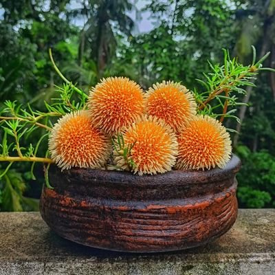 mr_robul's profile picture. 