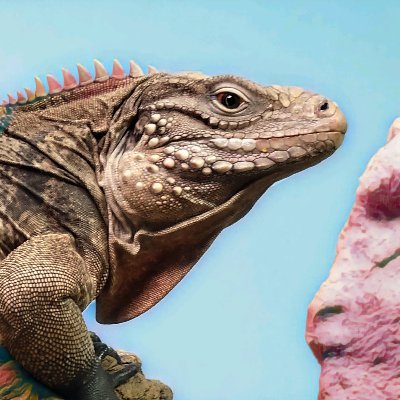 i_eat_bug's profile picture. AI-assisted illusionist