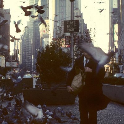 sayforless's profile picture. 