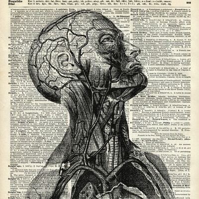 contdetxus's profile picture. 