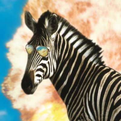 🎬 Filmmakers creating shorts, sketches, cosplay music videos and more. Sometimes featuring a Zebra. 
📧sneaky@sneakyzebra.com