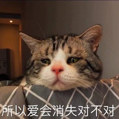 Frozencode2002's profile picture. 