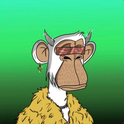 foxe_nft's profile picture. I buy the nft and sell