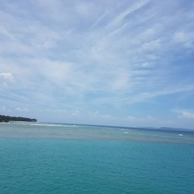 Poojama80482399's profile picture. Abdu Rozik fan account