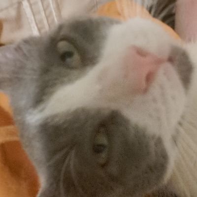 espenさんのプロフィール画像