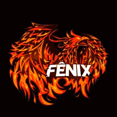 🇧🇷 Perfil oficial do time profissional de APEX, CS 2.0 e VALORANT | 📧 E-mail para contato: fenixteamfps@gmail.com