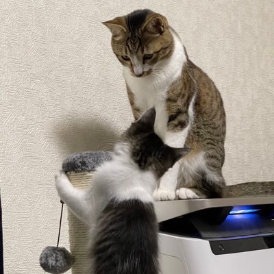 なんでマキオンにモンテがあんだよ 教えはどうなってんだ教えは お前ら禁じられた機体を 平気で使ってんじゃねえか 分かってんのか！？ bot対策 六四天安門事件