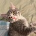 Laura (@laurada78589285) Twitter profile photo Laura (@laurada78589285) Twitter profile photo