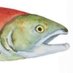 Salmon (@atonedeaffish) Twitter profile photo Salmon (@atonedeaffish) Twitter profile photo