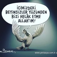 bir garip sosyolog (@bir_sosyolog) 's Twitter Profile Photo