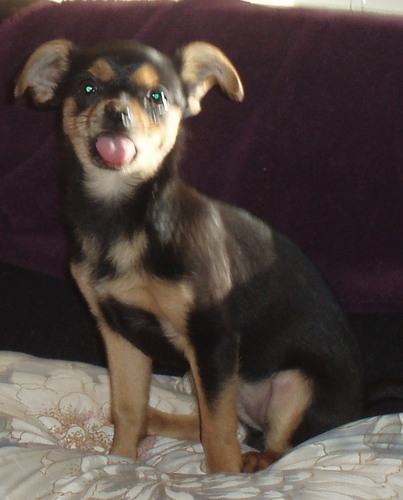 RaeCharlesL's profile picture. 