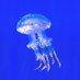 Unclear Objective (@unclearobject) Twitter profile photo Unclear Objective (@unclearobject) Twitter profile photo