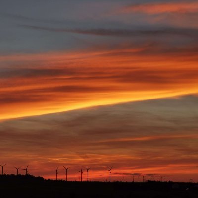 Lions_wr's profile picture. Just bad at Moba games