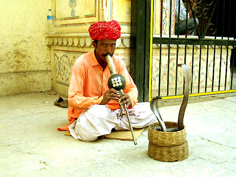 antenna_tkhs's profile picture. ライターやってます。インドが好きです。好きな言葉は「盛者必衰」です。