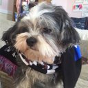 Grace Pham - @GracePh42259500 - Twitter