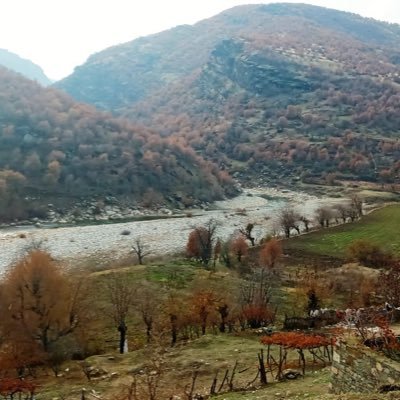 birhato21's profile picture. kûrd’ûm rastîm jêhatîme 💪