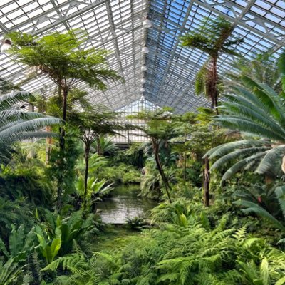 Garfield Park Conservatory Profile