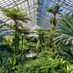 Garfield Park Conservatory (@gpconservatory) Twitter profile photo