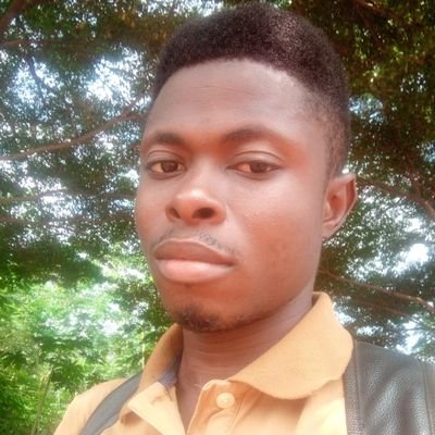 Tolulope Osikanmi Profile