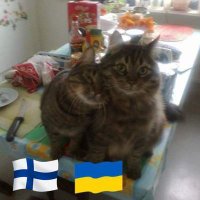 Jampe🏴☠️🇫🇮🇺🇦 (@jampe_lupunen) 's Twitter Profile Photo Jampe🏴☠️🇫🇮🇺🇦 (@jampe_lupunen) 's Twitter Profile Photo
