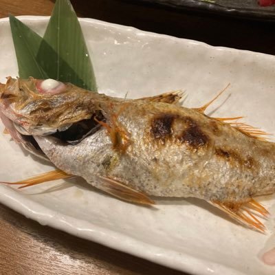 0413Oneok's profile picture. 特技はダイエット、趣味はリバウンド。ゆきぽよよりみちょぱ派です。