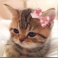 ใซใใ๐พ (@nandesutte01) 's Twitter Profile