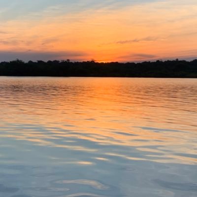 SSimonetti2's profile picture. 