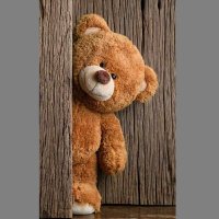 Mariam Eid (@mariame40052537) 's Twitter Profile