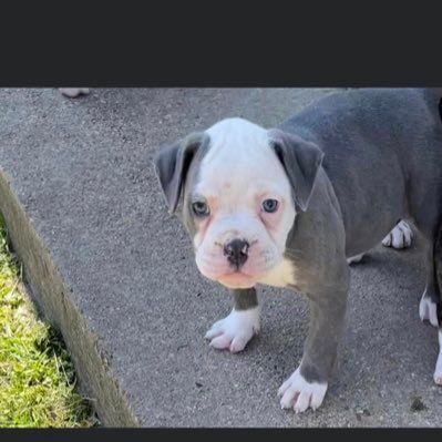 Bendrivers1's profile picture. 