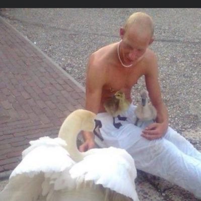 peter1987a's profile picture. just a normal guy! sometimes a little crazy! in a healty way!