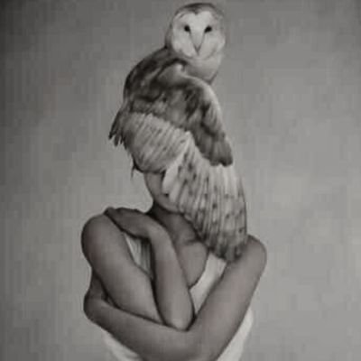 SapientOwl's profile picture. 𝐓𝐡𝐞 𝐭𝐫𝐮𝐭𝐡 𝐝𝐨𝐞𝐬𝐧'𝐭 𝐜𝐚𝐫𝐞 𝐚𝐛𝐨𝐮𝐭 𝐲𝐨𝐮𝐫 𝐟𝐞𝐞𝐥𝐢𝐧𝐠𝐬