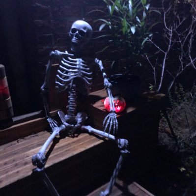 schawanensee's profile picture. Er lebt, fühlt, ist frei.