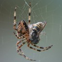 Pam Self - @pammyorion - Twitter