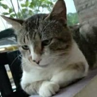 Mood (@mymo0d) 's Twitter Profile Photo Mood (@mymo0d) 's Twitter Profile Photo